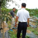 한밭농장 이미지