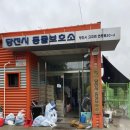 (주)네츄라필 | 🐶에디입양기 &amp; 최애수제간식🍖