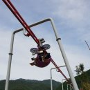 벅스랜드(스카이 벅스, SKY BUGS) 이미지
