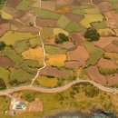 제주를 그리다 이미지