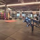 근육발전소 이미지