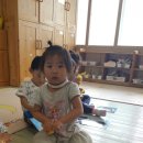 해빛6로9 Daum카페