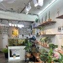 올리브영 조선대점 이미지