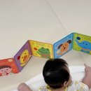 프뢰벨미디어 | 50일에 구매해서 16개월에 쓰는, 프뢰벨 《영아다중》 내돈내산 후기 👶🏻📚