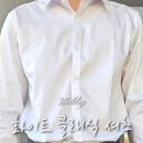 STCO제주 이미지