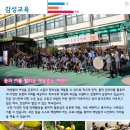 매원초등학교 이미지