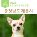 신도안동물병원 이미지