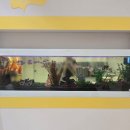 수성아이치과의원 이미지