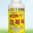 포도몰 주식회사