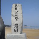 솔향기길1코스(당봉) 이미지