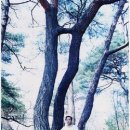 연리지 - 강화군 해안동로 1051 | 연리지