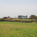 시흥 교차로 1 이미지