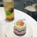 39 | 광주 광산 : 쁘띠가또 가득한 파티세리 [ 메종세컨드 ] 봄 시즌 한정 디저트 후기