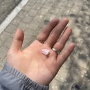 일상 어쩌구