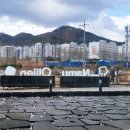 올리앤&나무 이미지