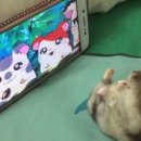 한마디
