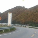 개나리펜션 이미지