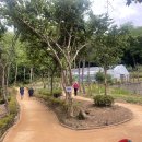 청학근린공원[청학-5] 이미지