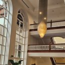 한국리싸이클 | 호주 케언즈 여행 풀먼 인터네셔널 호텔 내돈내산 후기 (룸 컨디션, 룸서비스, 수영장)