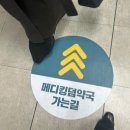 종합약국 | 용산 창고형 약국 <메디킹덤 약국> 방문 및 구매 후기 - 주차, 마그네슘, 종합비타민, 카베진, 소화제...