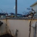 모모네집 이미지