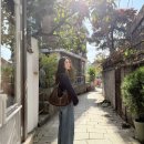 에트로 | • 에트로매장 롯데백화점 에비뉴엘 잠실점, 정려원 포니백 채정안가방 •