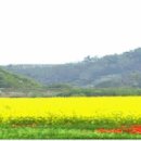 3월15일 목요일 라봄님의 첫 아차산산행 이미지