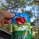 거창읍-14 | 거창 감악산 아스타 국화축제 &amp; 수승대 출렁다리 방문 당일치기여행 후기 🌼🌉