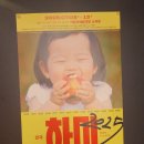 하미팜 | 혜화 연극 아르코예술극장 소극장 - 하미 2025 관람 솔직 후기 | 베트남 전쟁과 그 것을 받아들이는...