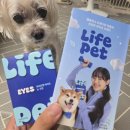 눈이야기 | 강아지눈영양제 찾는다면? 라이프펫 아이즈 급여 후기와 눈물자국 관리 이야기