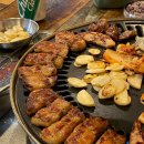 펫식당