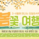 관광여행사주 이미지
