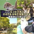 요가 | 도그요가 후기 반려견과 함께한 특별한 주말, 베럴바디스튜디오