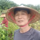 금농장 이미지