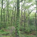 대전비래초등학교 이미지