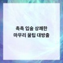 미서울치과의원 네이버블로그