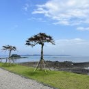 태안바다 이미지