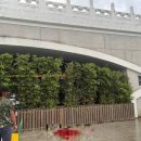 신광버스승강장 이미지