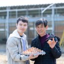 유나네 자연숲 농장 이미지