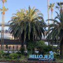 NR-47[중앙로]-하-179 | [제주도] 제주 인생맛집 정리 (내돈내먹) : 연돈, 오는정김밥, 랜디스도넛, 뽈살집, 고씨네천지국수...