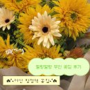 매곡농장 | 탕정역 '무인꽃집 필랑말랑' 내돈내산 후기 | 태안 꽃농장에서 온 꽃다발