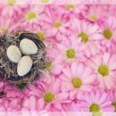 나만의 힐링 향수 만들기 이미지