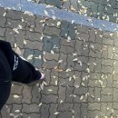 와이원 짐(Y1 GYM) | 부산 정관 줌바 | Y1 gym| 헬스장