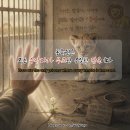 2059 | 아직도 동물원에 가시나요? - 대전아쿠아리움 보문이의 죽음
