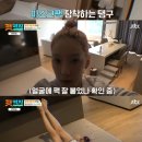 펫키지