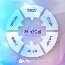 씨엔오컨설팅