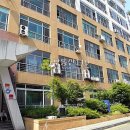 갈마치로 244번길 이미지