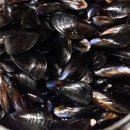 간이마을경로당 이미지