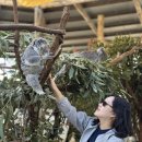 오크베일 애니멀데이- 코알라, 캥거루, 돌고래 이미지