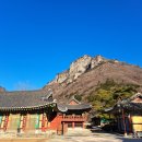 백양사 | 전남 백양사 템플스테이, 셰프의 테이블 정관스님 사찰음식수행, 약사암, 영천굴, 쌍계루 야경, 템플...